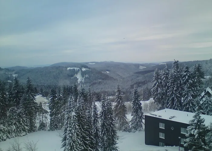 Lägenhet Haus Nicole Winterberg